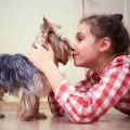 How to Control Pet Allergy and Stop Pet Dander Allergies